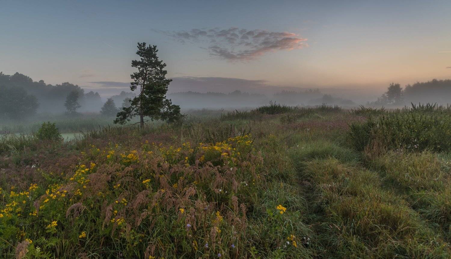 , Евгений Патрешов