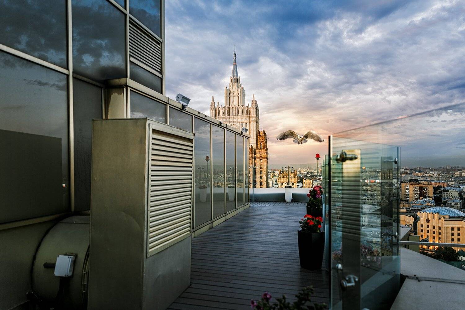 чайка, москва, золотое кольцо, отель, закат,, Юрий Шурчков