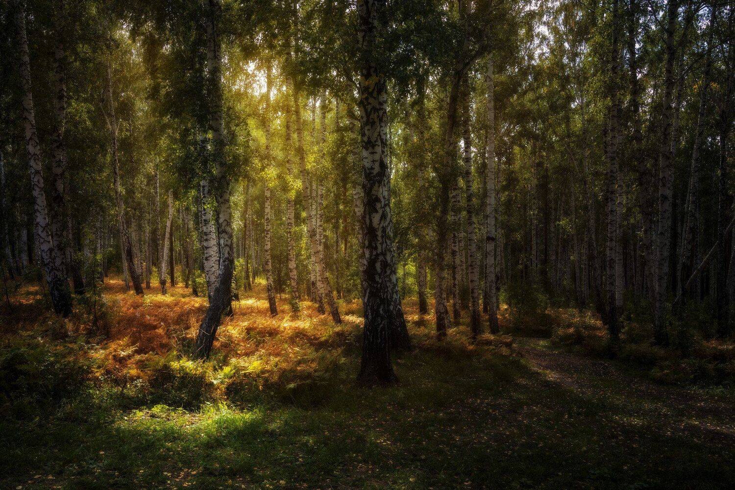 , Андрей Шарапов