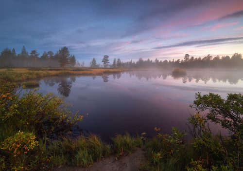 Перед рассветом