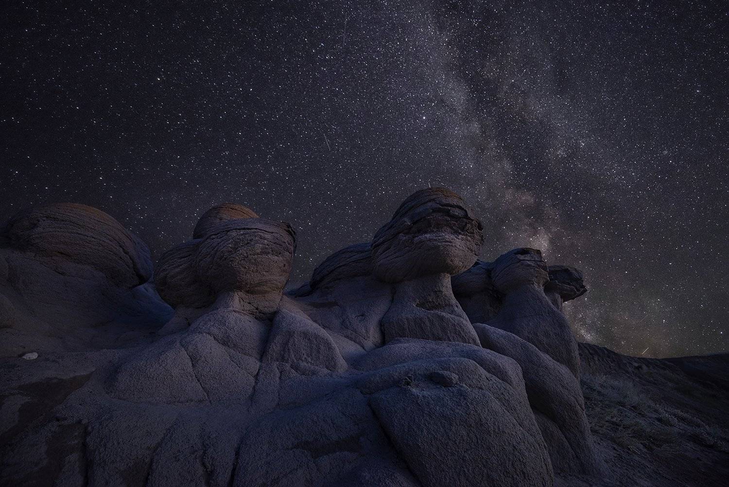 , Елена Ермолина