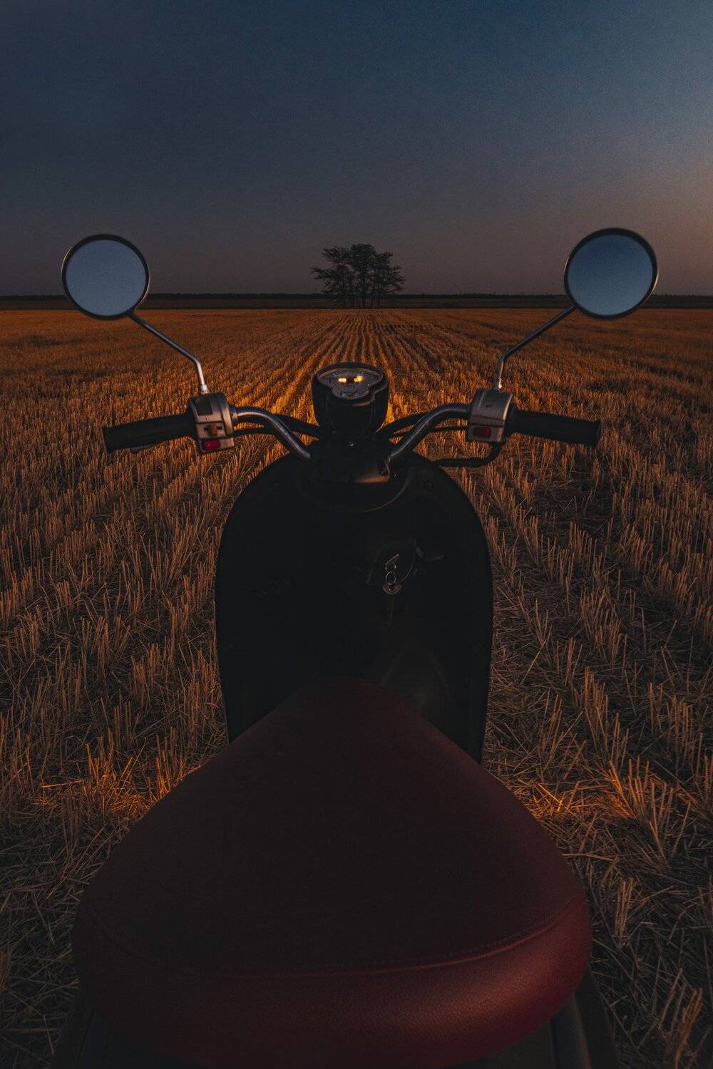 , Андрей Кривцов