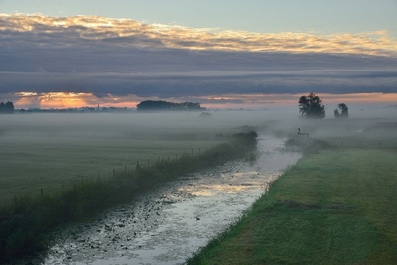 My region this morning. фото превью