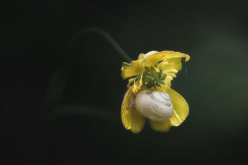 Когда приходит вечер фото превью