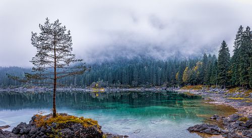 Меланхолия