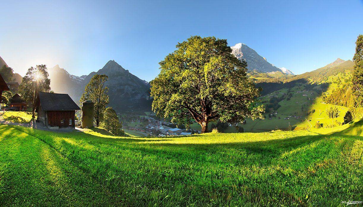 swiss, Матвеев Николай