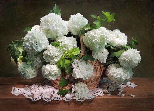 С калиной бульденеж