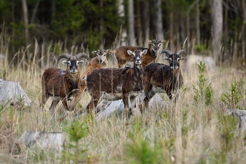 семейное фото