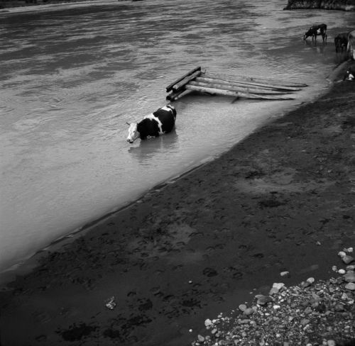 Вышка для прыжков в воду