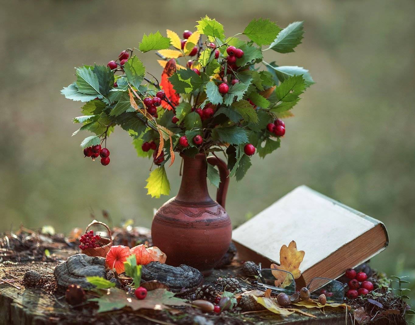 натюрморт, осень, этюд, природа,ягоды, краски,красота, stilllife, autumn, nature, beautiful, berry, Юлия Стукалова