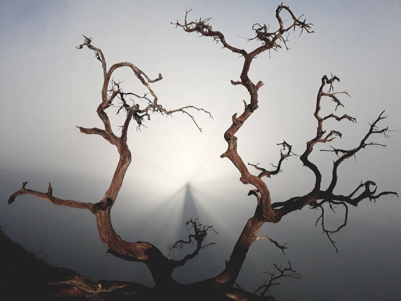 брокенский, призрак, вулкан, иджен, туман, Karasev Pavel