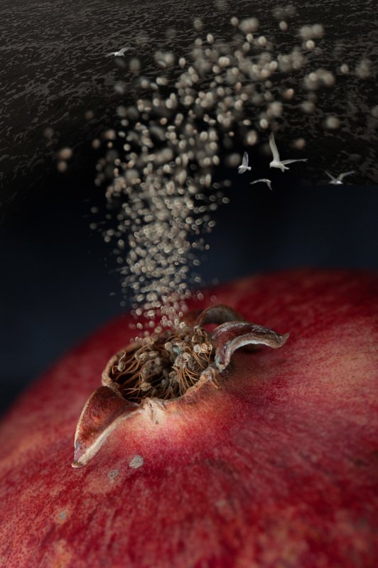 Вдохновение фото превью