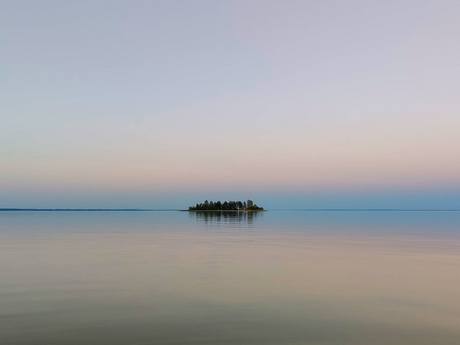 , Цвелёв Дмитрий