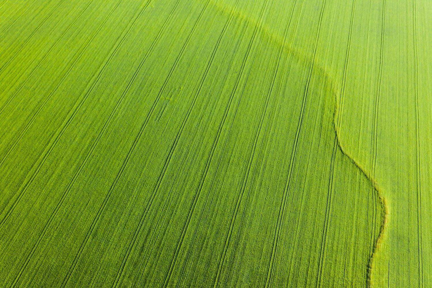 Зауралье, Кутыгин Эдуард