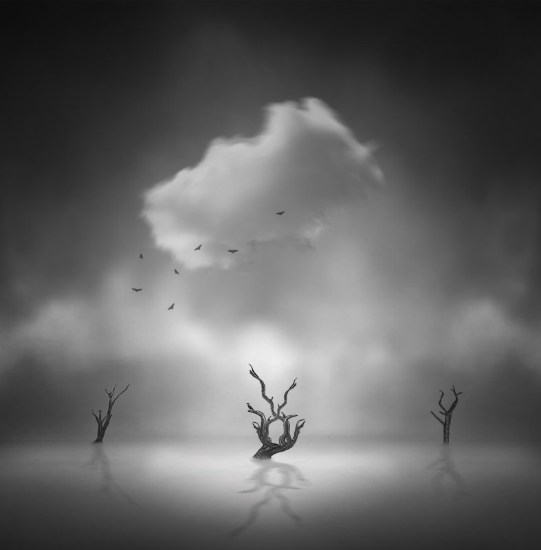 fineart The Silence Of Nature фото превью