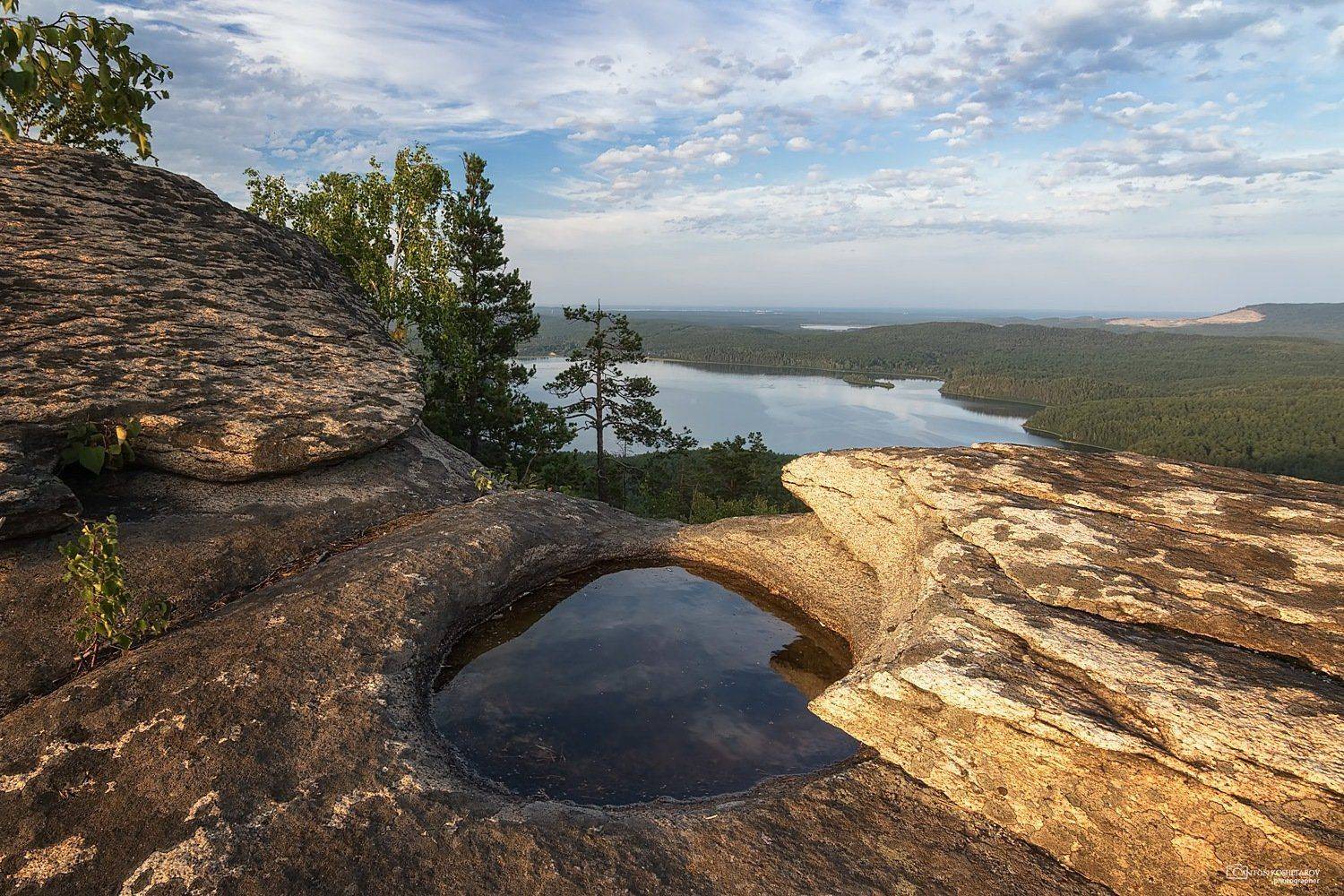 , Антон Кошетаров