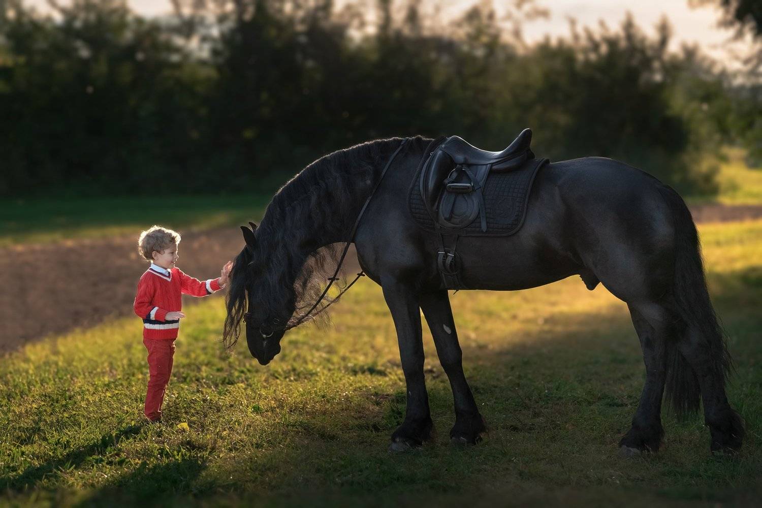 , Можаров Дмитрий