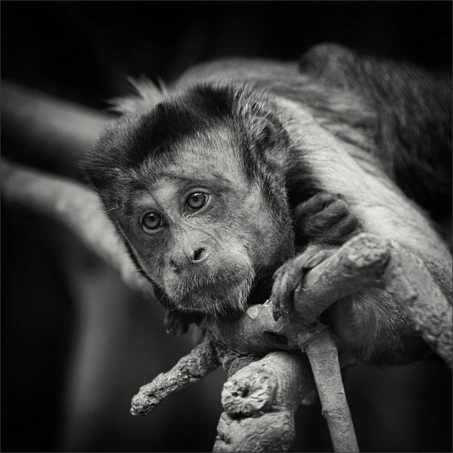 , Сергей Фудиненко