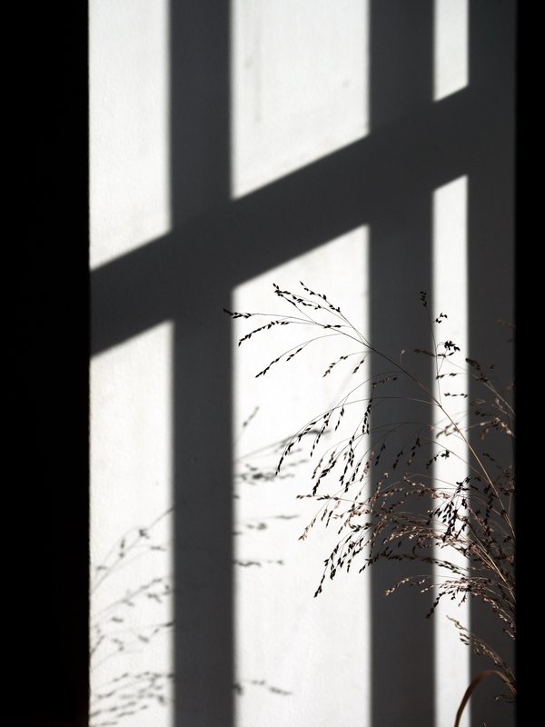 981761 фото превью