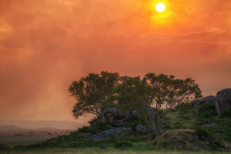 Серенгети фото превью