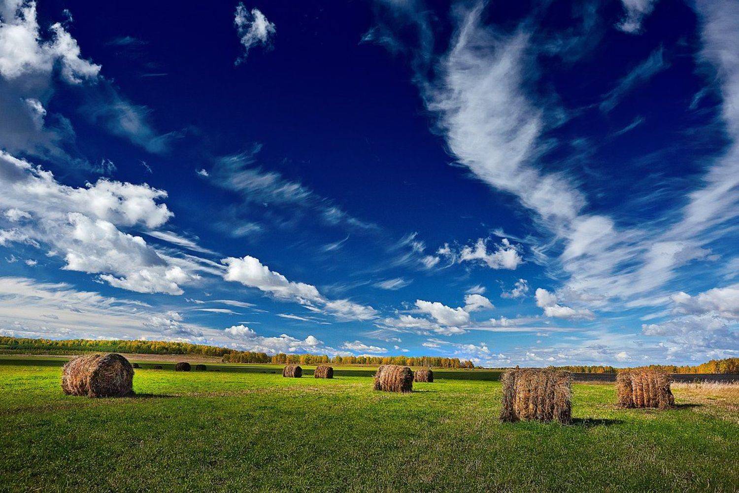 южный урал,оренбургская область, орск, новотроицк,башкирия, башкиртостан, Качурин Алексей