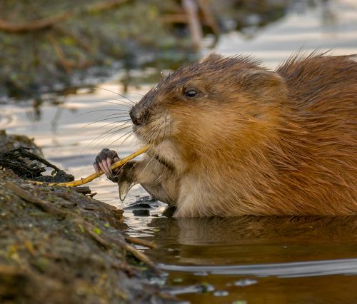 завтракаем с удовольствием..