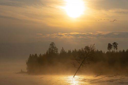 Утро на Богучанах