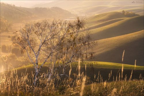 Сибирская Тоскана