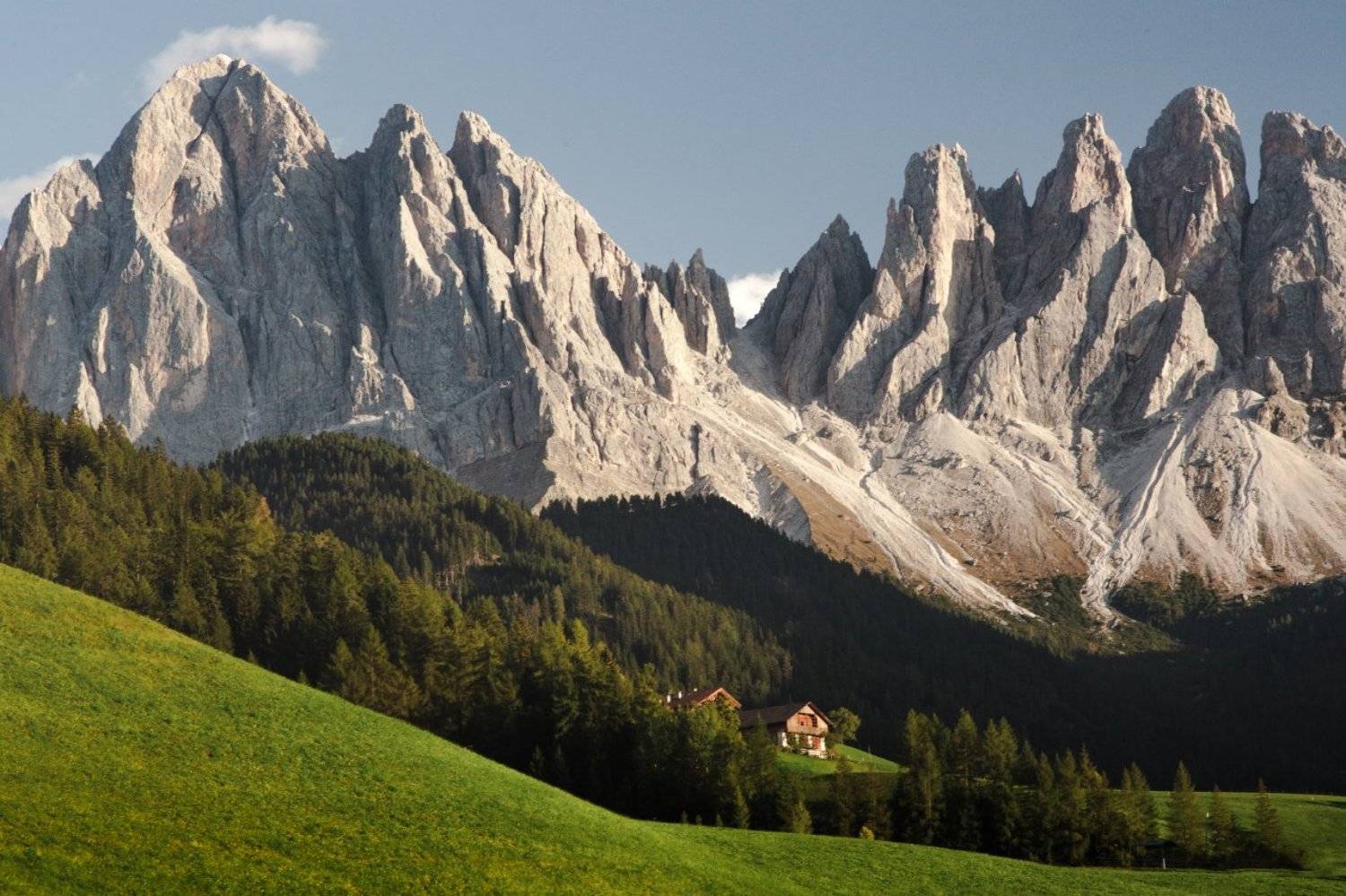 домик; горы; лес, Александр Удовиченко