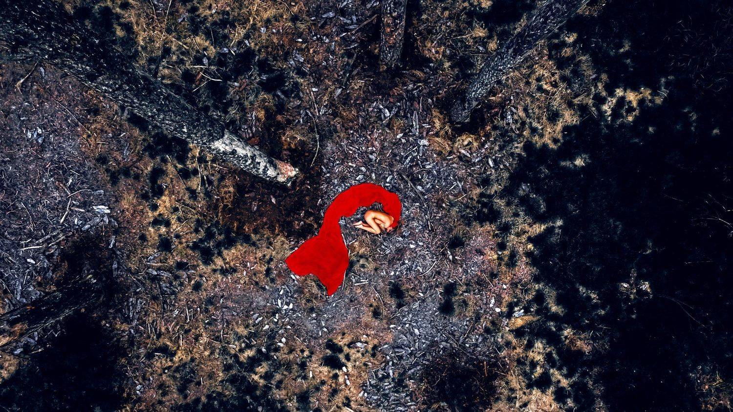 woman, beauty, art, outdoors, drone, forest, Руслан Болгов (Axe)