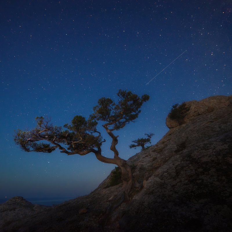 НОЧЬ фото превью