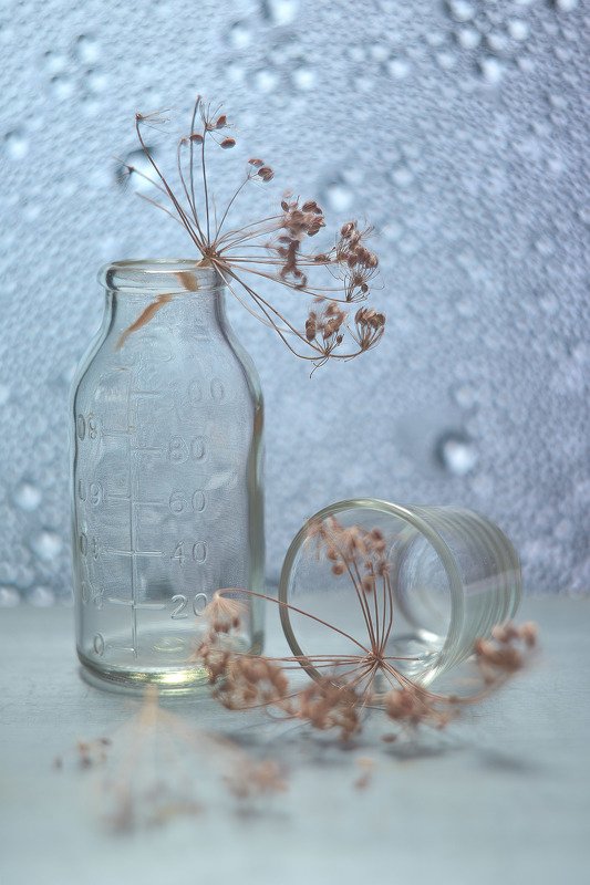 За окном дождь... фото превью