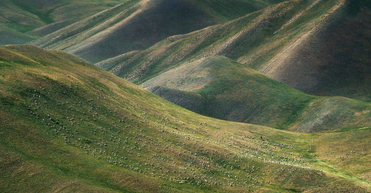 , Алексей Козаченко