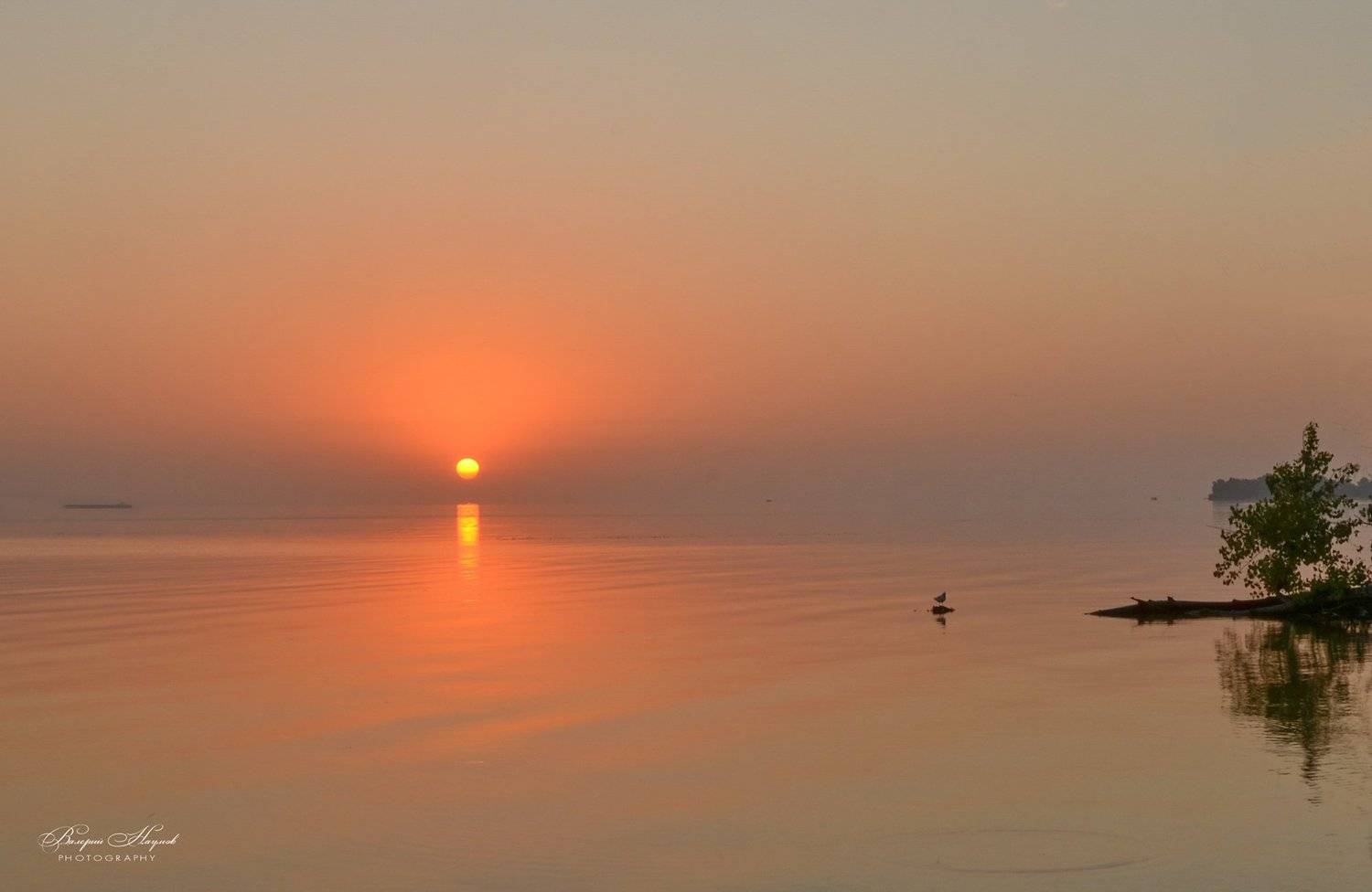 утро, сентябрь, восход, рассвет, птица, Валерий Наумов