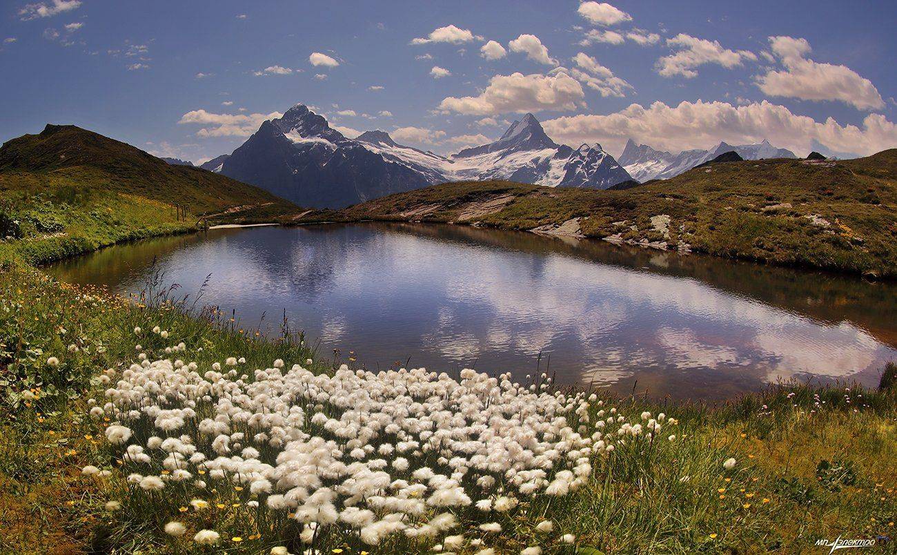 swiss,швейцария,grindelwald, Матвеев Николай