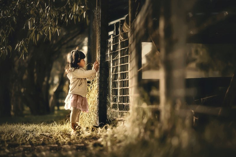 Delphie фото превью