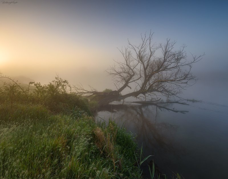 Not Everything Dies фото превью