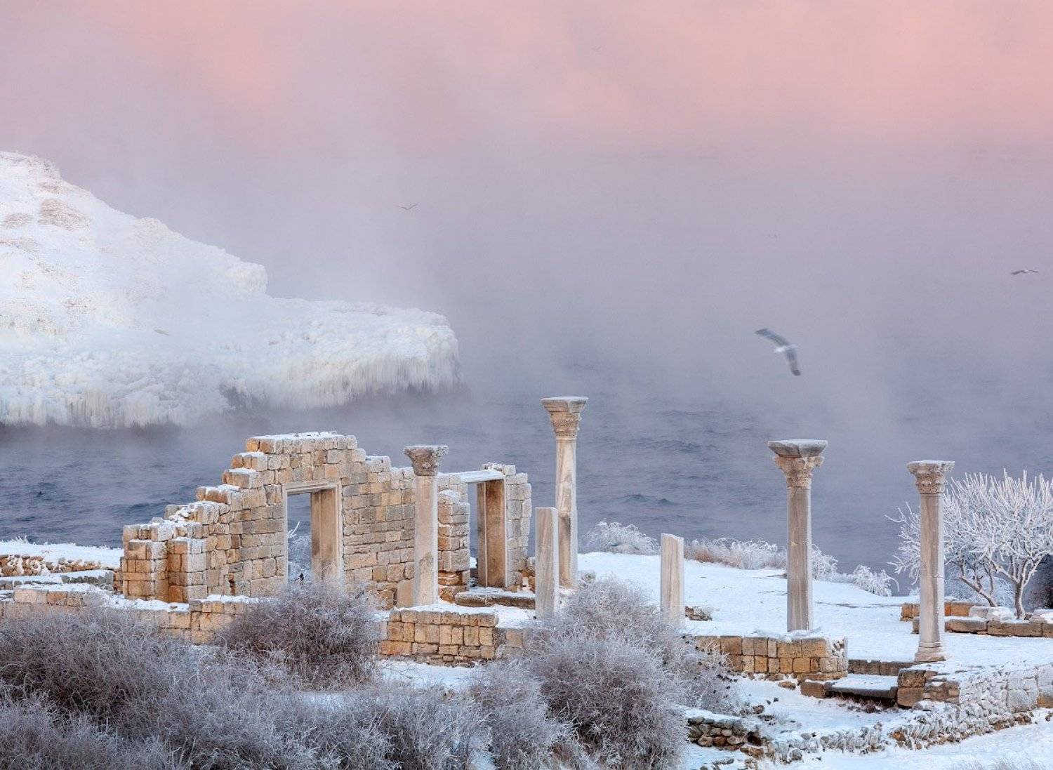 , Андрей Гусаченко