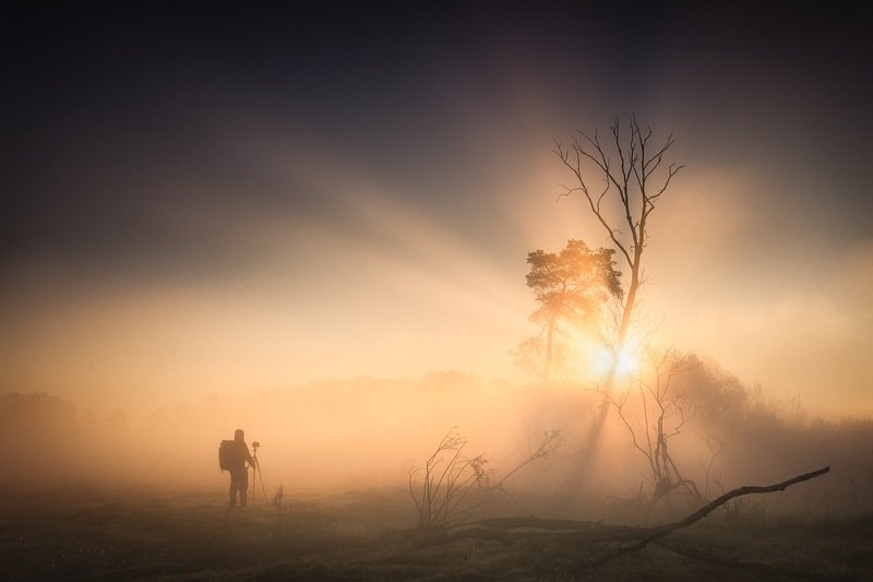 Sunrise фото превью