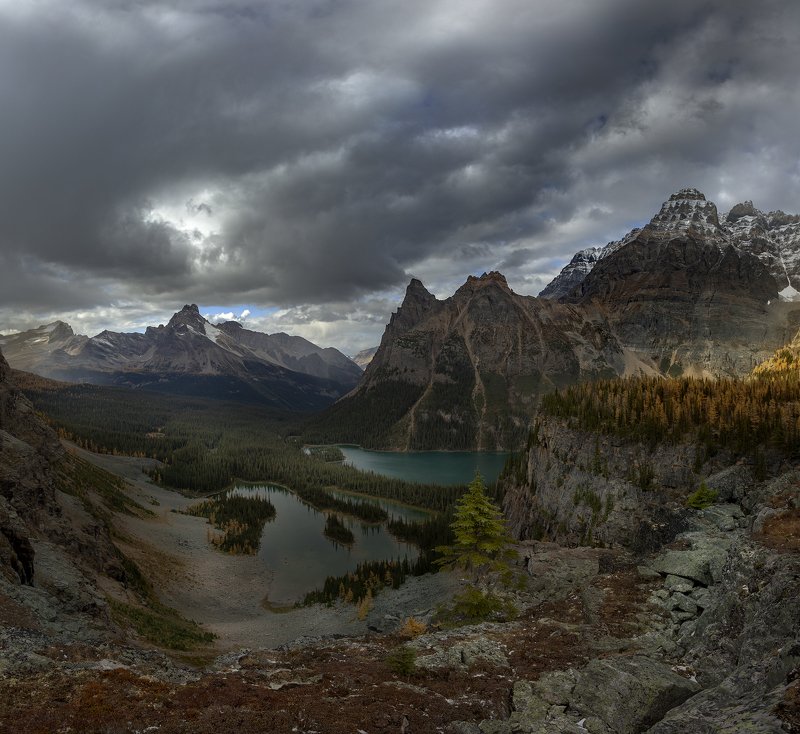 ohara, yoho, larches Дыхание Осени фото превью