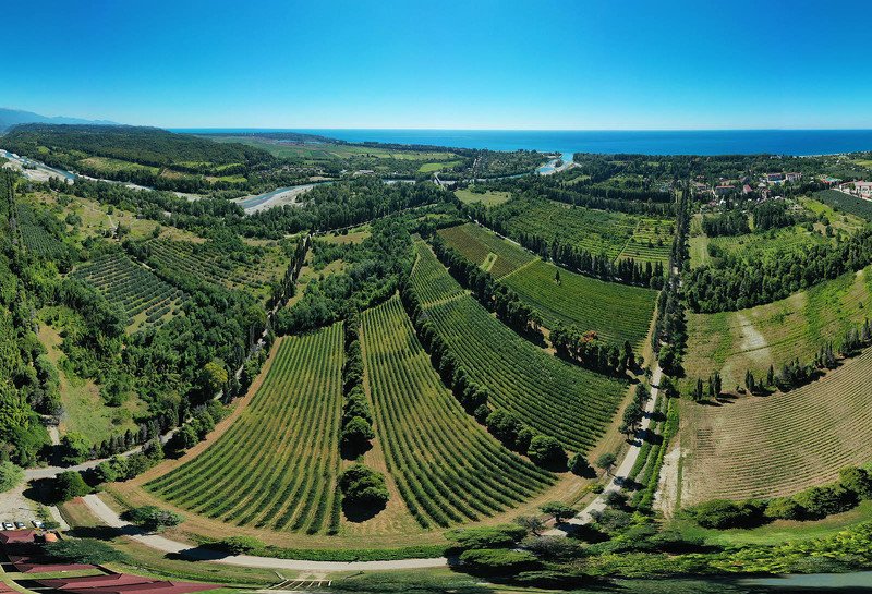 Абхазия, Пицунда, аэро, панорама, aerial, air, коптер, дрон Кипарисовые аллеи фото превью