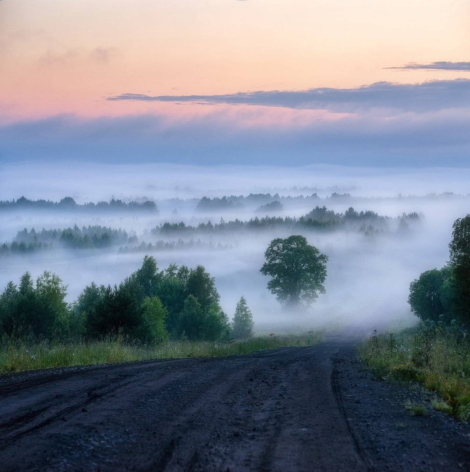 , Устюжанин Михаил