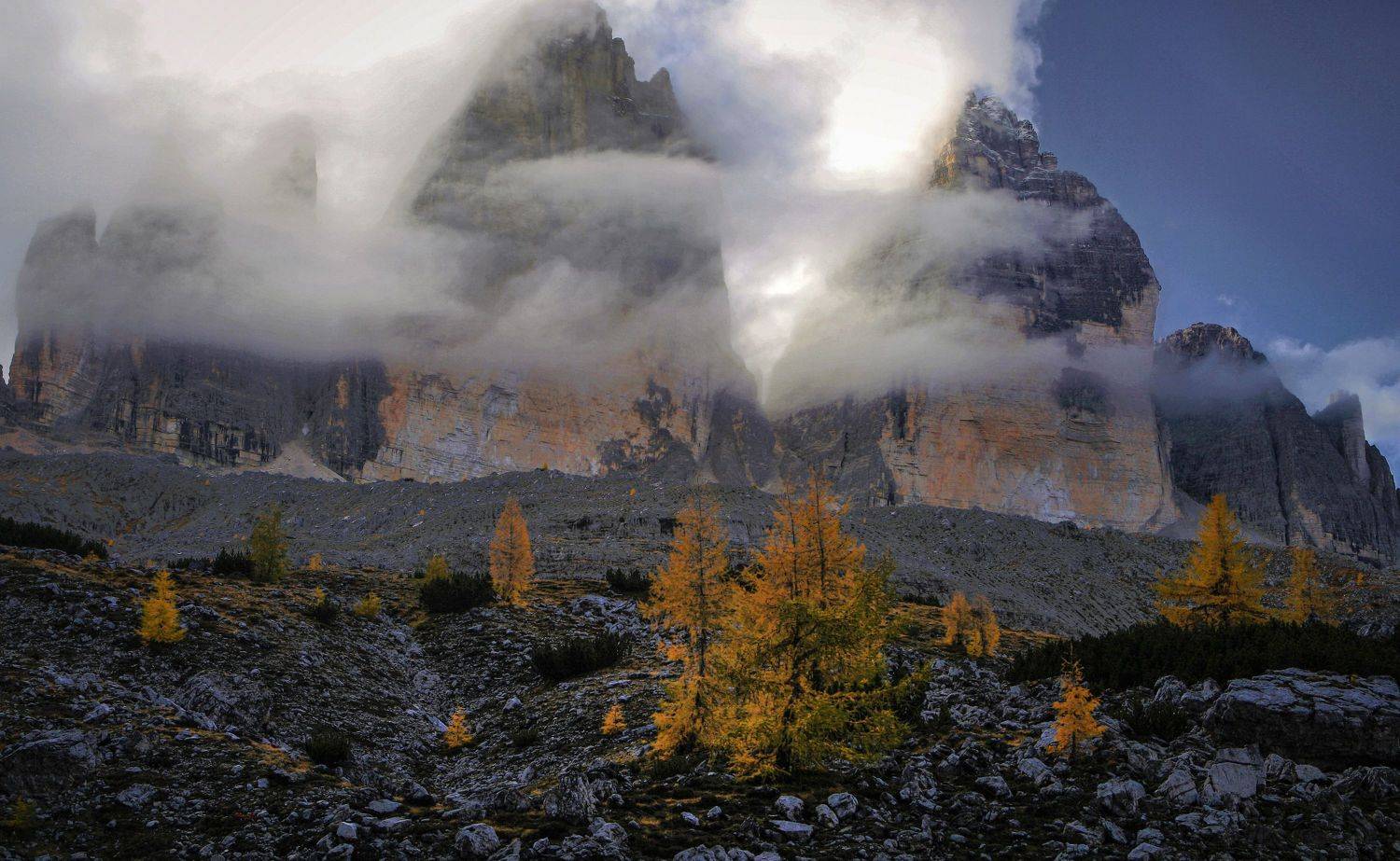 , Милокост Алексей