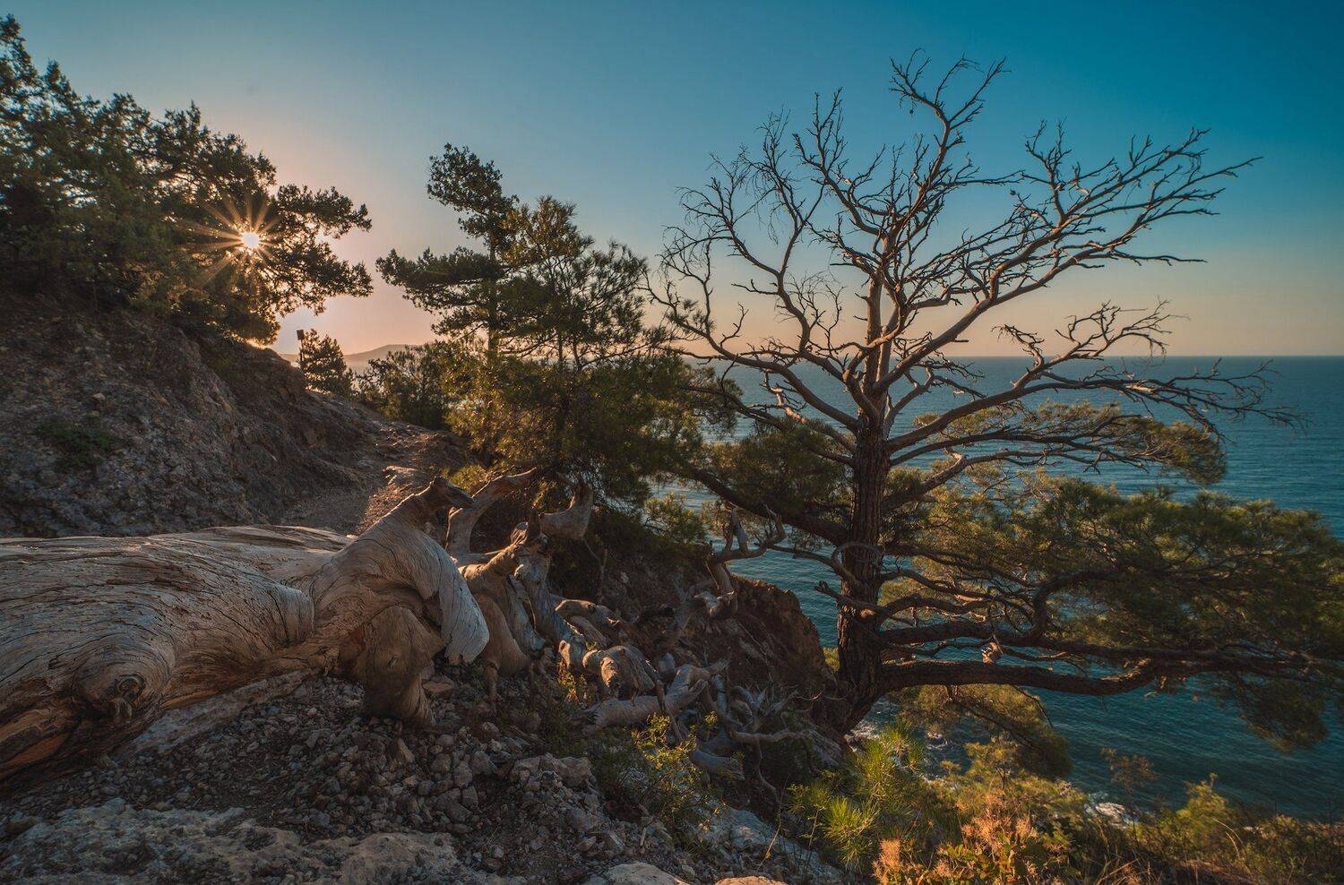 , Константин Дэм