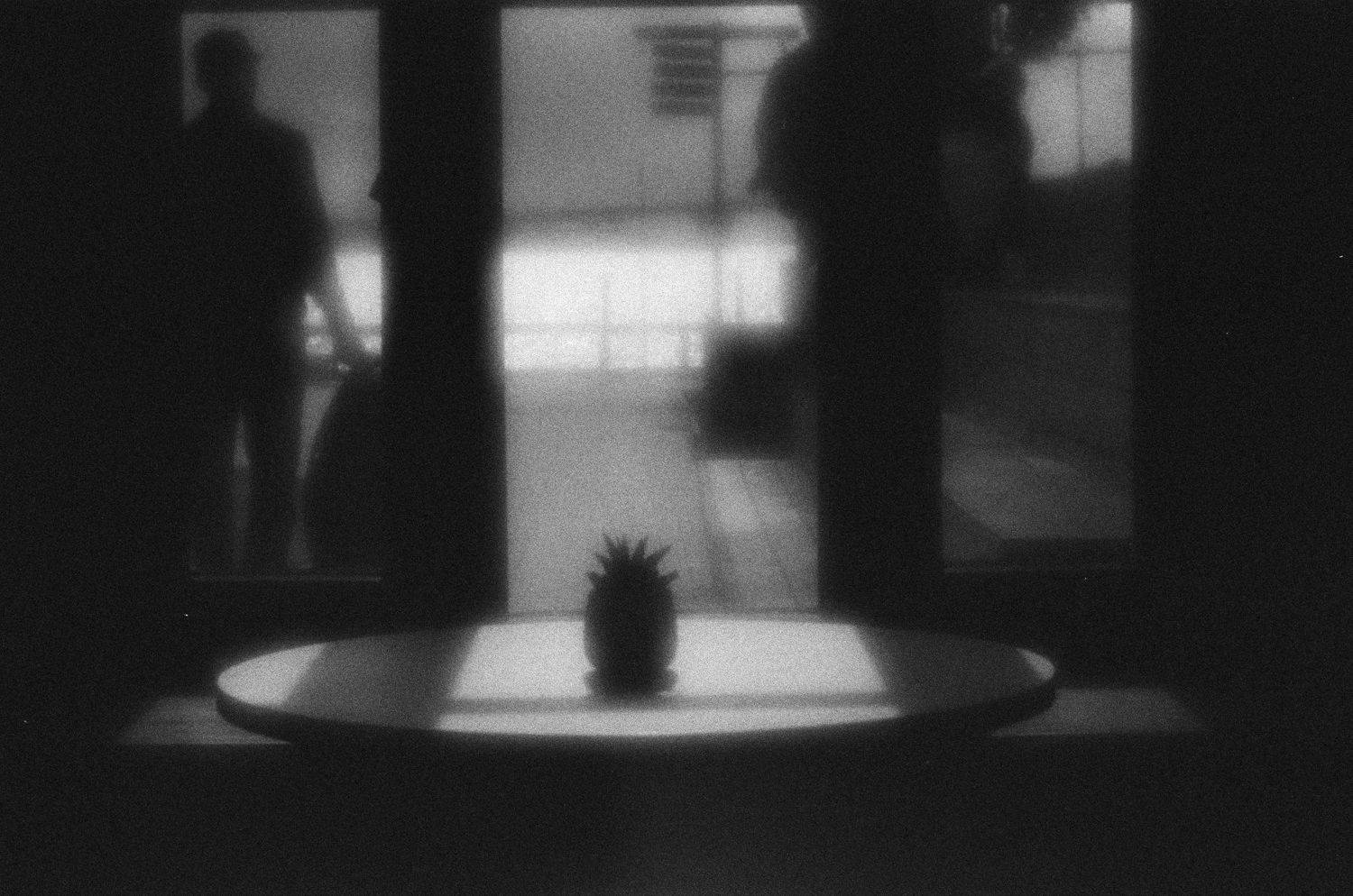 пленка, монокль, Иван Домарацкий