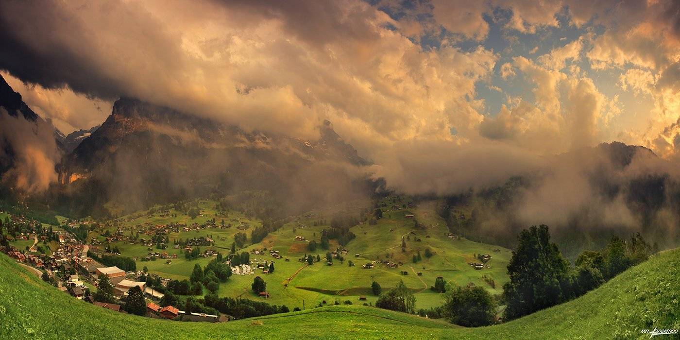 swiss, Матвеев Николай