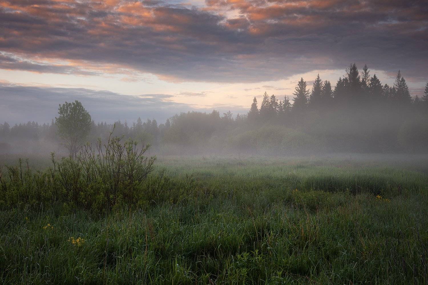 , Дмитрий Асеев