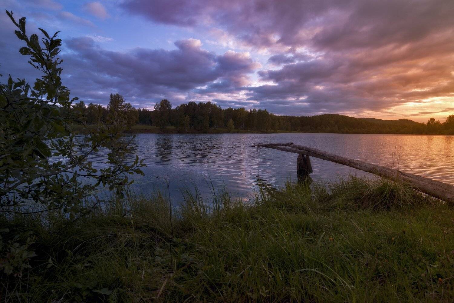 , Андрей Шарапов