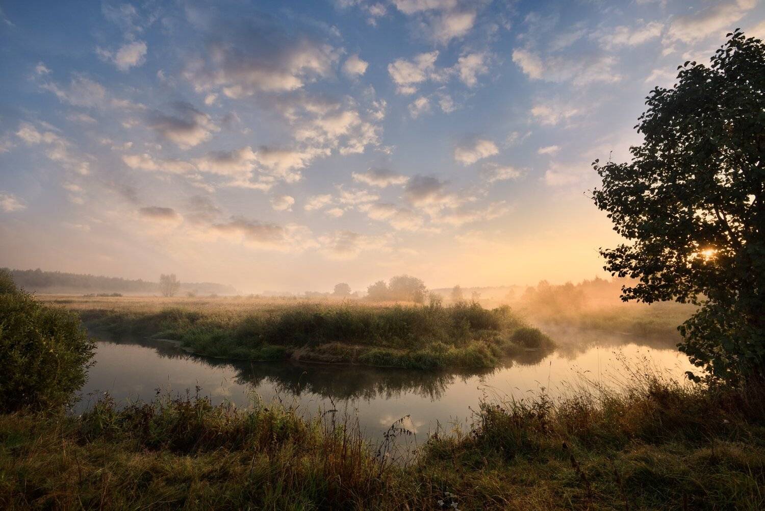утро,рассвет,река,берег,небо,облака,туман, Виталий Полуэктов