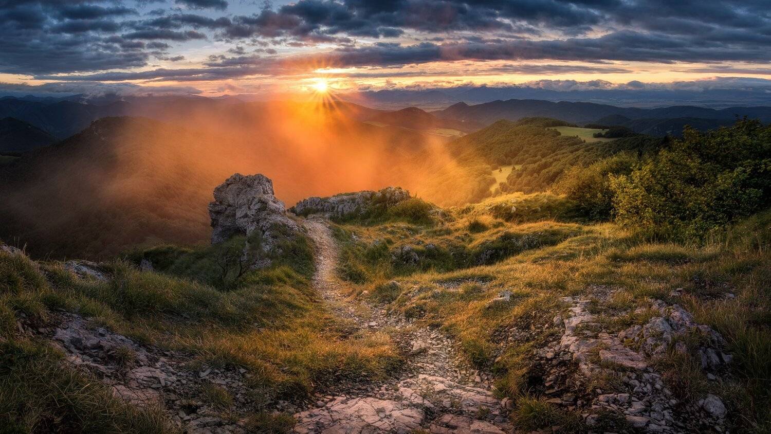 , Radoslav Cernicky